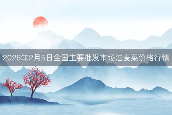 2026年2月5日全国主要批发市场油麦菜价格行情