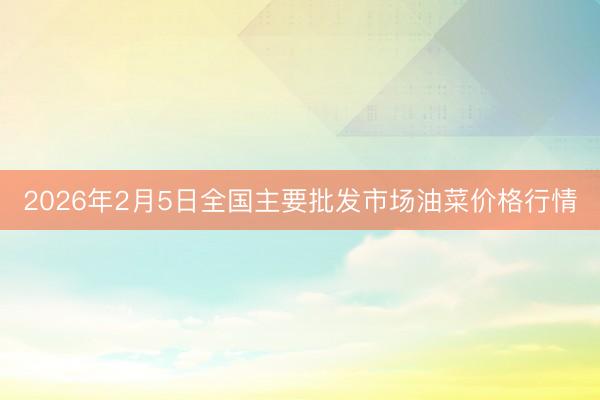 2026年2月5日全国主要批发市场油菜价格行情
