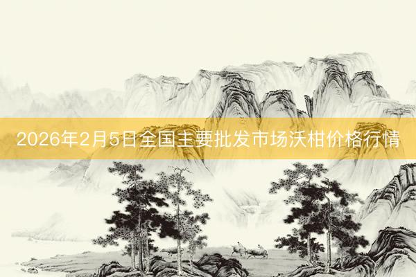 2026年2月5日全国主要批发市场沃柑价格行情