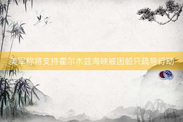美军称将支持霍尔木兹海峡被困船只疏导行动