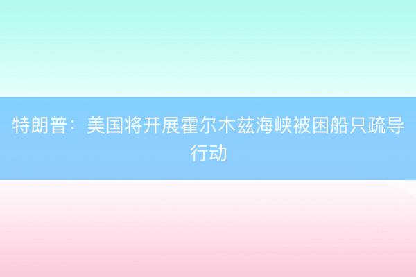 特朗普：美国将开展霍尔木兹海峡被困船只疏导行动