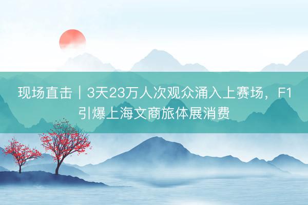 现场直击｜3天23万人次观众涌入上赛场，F1引爆上海文商旅体展消费