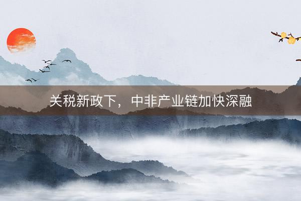 关税新政下，中非产业链加快深融