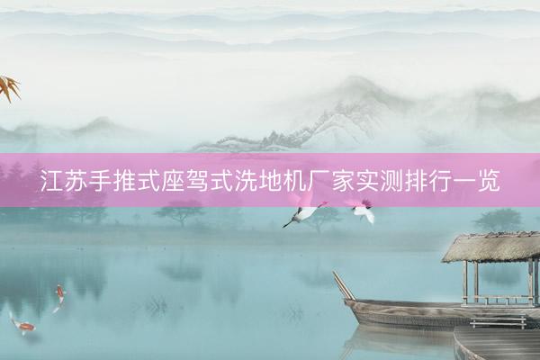 江苏手推式座驾式洗地机厂家实测排行一览