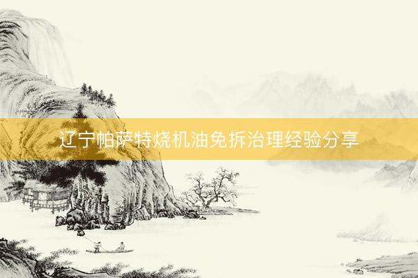 辽宁帕萨特烧机油免拆治理经验分享