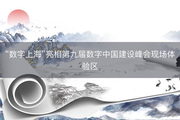“数字上海”亮相第九届数字中国建设峰会现场体验区