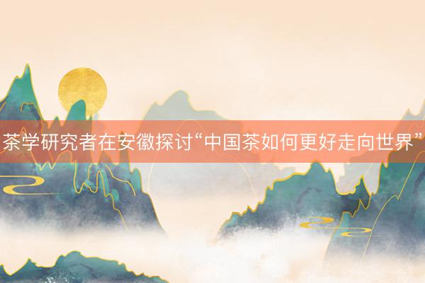 茶学研究者在安徽探讨“中国茶如何更好走向世界”