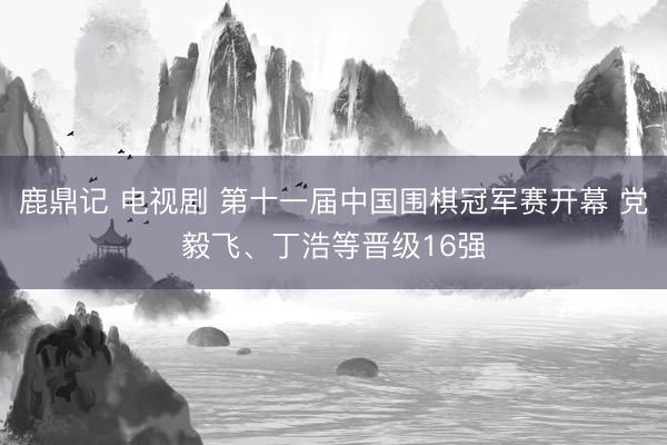 鹿鼎记 电视剧 第十一届中国围棋冠军赛开幕 党毅飞、丁浩等晋级16强