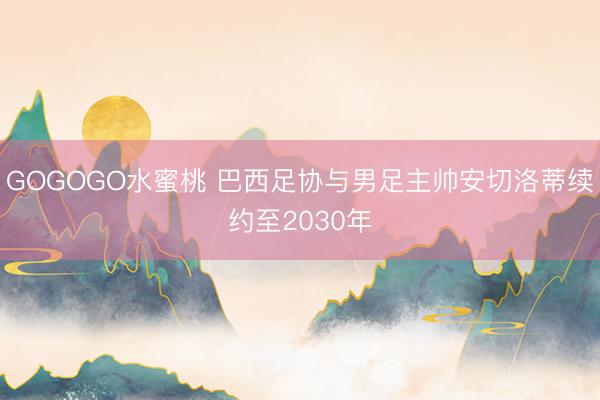 GOGOGO水蜜桃 巴西足协与男足主帅安切洛蒂续约至2030年