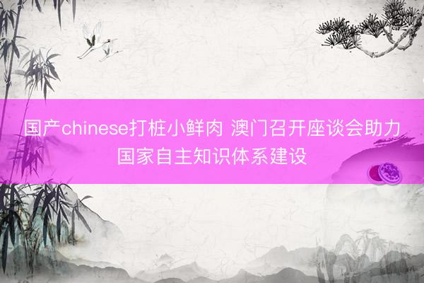 国产chinese打桩小鲜肉 澳门召开座谈会助力国家自主知识体系建设