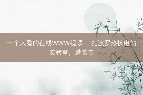 一个人看的在线WWW视频二 扎波罗热核电站实验室，遭袭击