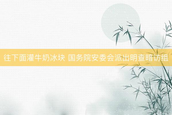 往下面灌牛奶冰块 国务院安委会派出明查暗访组