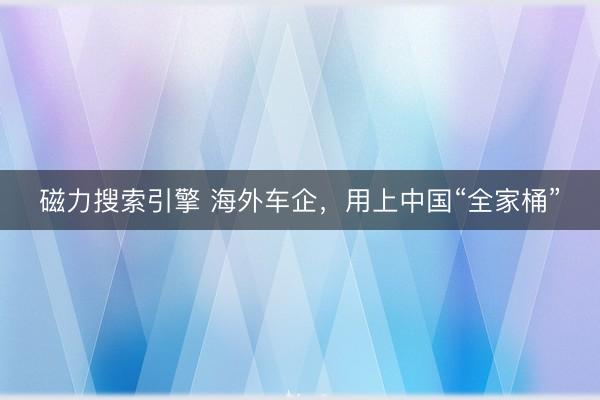 磁力搜索引擎 海外车企，用上中国“全家桶”