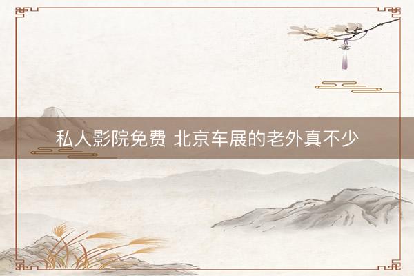 私人影院免费 北京车展的老外真不少
