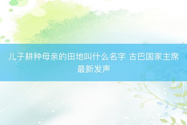 儿子耕种母亲的田地叫什么名字 古巴国家主席最新发声