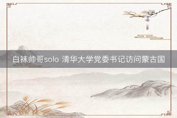 白袜帅哥solo 清华大学党委书记访问蒙古国