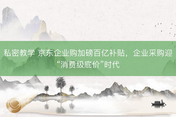 私密教学 京东企业购加磅百亿补贴,企业采购迎“消费级底价”时代