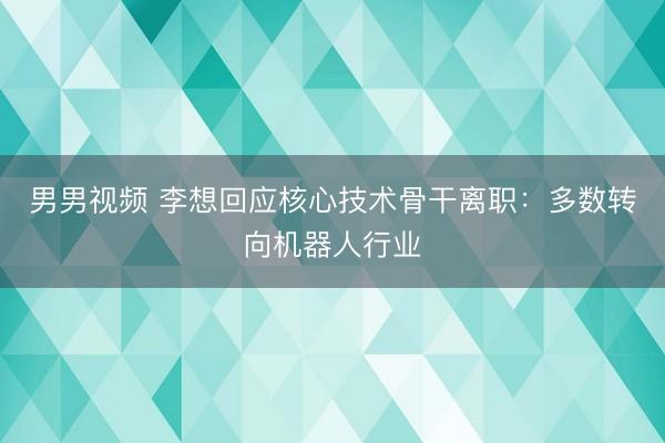 男男视频 李想回应核心技术骨干离职：多数转向机器人行业