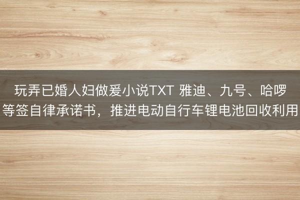玩弄已婚人妇做爰小说TXT 雅迪、九号、哈啰等签自律承诺书，推进电动自行车锂电池回收利用
