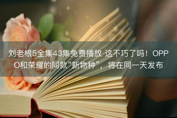 刘老根5全集43集免费播放 这不巧了吗！OPPO和荣耀的同款“新物种”，将在同一天发布
