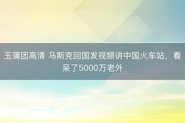 玉蒲团高清 马斯克回国发视频讲中国火车站,看呆了5000万老外