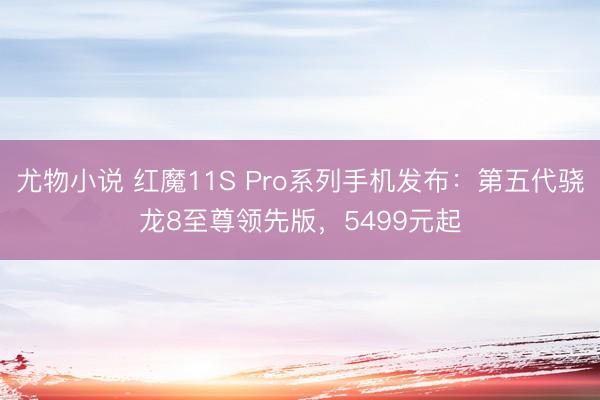 尤物小说 红魔11S Pro系列手机发布：第五代骁龙8至尊领先版，5499元起