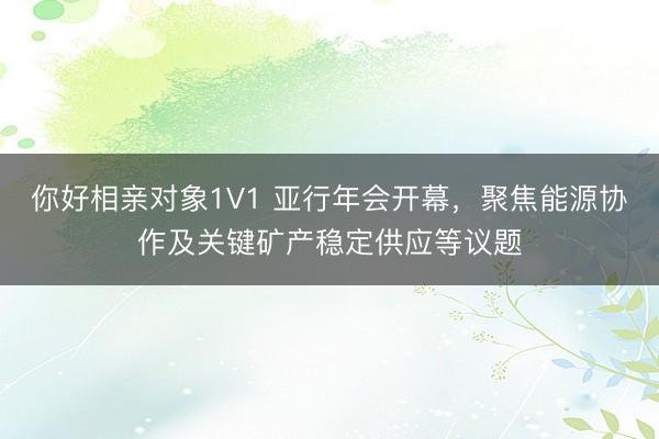 你好相亲对象1V1 亚行年会开幕，聚焦能源协作及关键矿产稳定供应等议题