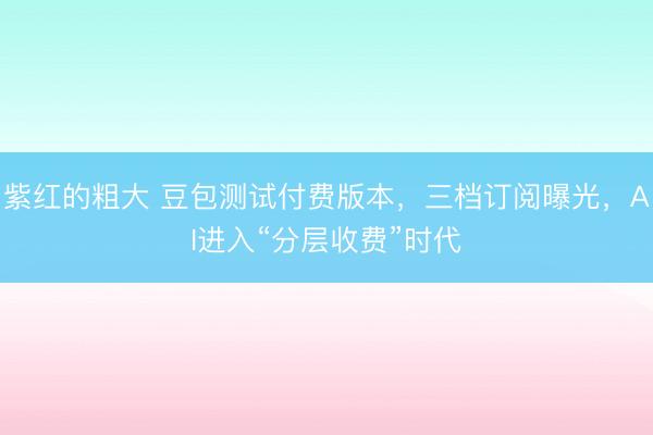 紫红的粗大 豆包测试付费版本,三档订阅曝光,AI进入“分层收费”时代