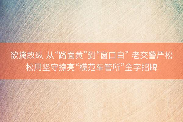 欲擒故纵 从“路面黄”到“窗口白” 老交警严松松用坚守擦亮“模范车管所”金字招牌