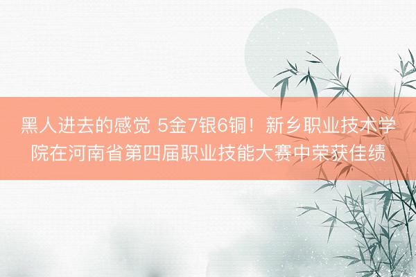 黑人进去的感觉 5金7银6铜！新乡职业技术学院在河南省第四届职业技能大赛中荣获佳绩
