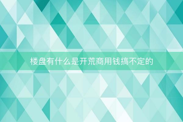 楼盘有什么是开荒商用钱搞不定的