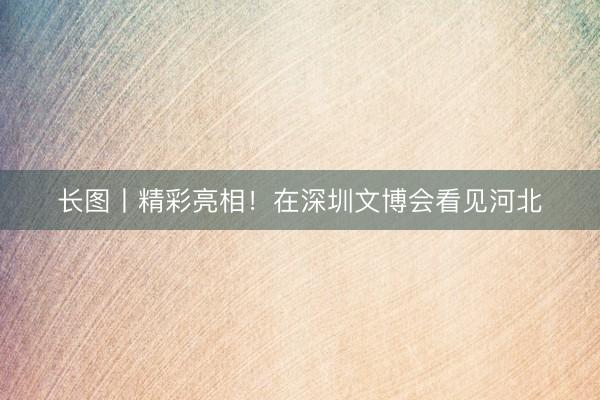 长图丨精彩亮相！在深圳文博会看见河北