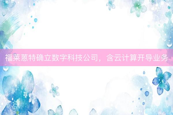 福莱蒽特确立数字科技公司，含云计算开导业务