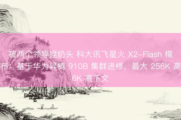 被两个领导捏奶头 科大讯飞星火 X2-Flash 模子发布：基于华为昇腾 910B 集群进修，最大 256K 高下文