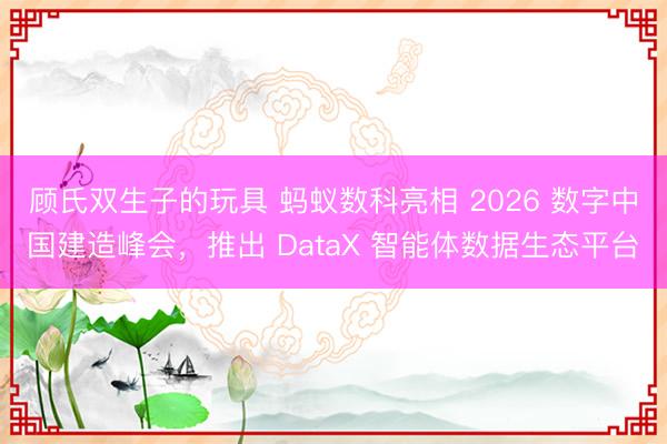 顾氏双生子的玩具 蚂蚁数科亮相 2026 数字中国建造峰会，推出 DataX 智能体数据生态平台