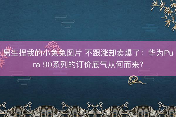 男生捏我的小兔兔图片 不跟涨却卖爆了：华为Pura 90系列的订价底气从何而来？