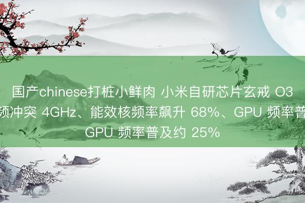 国产chinese打桩小鲜肉 小米自研芯片玄戒 O3 曝光：主频冲突 4GHz、能效核频率飙升 68%、GPU 频率普及约 25%