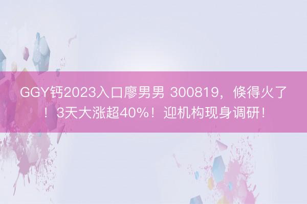 GGY钙2023入口廖男男 300819，倏得火了！3天大涨超40%！迎机构现身调研！