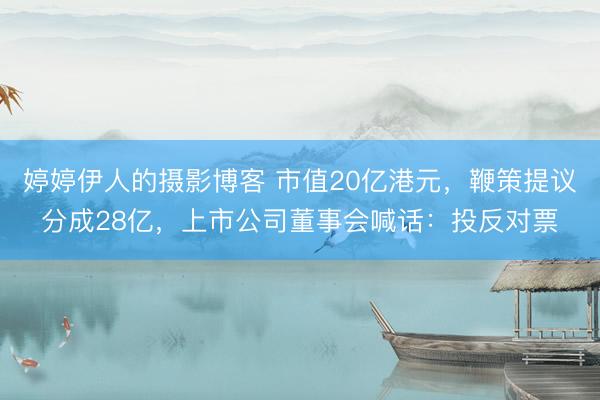 婷婷伊人的摄影博客 市值20亿港元，鞭策提议分成28亿，上市公司董事会喊话：投反对票
