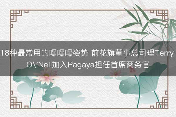 18种最常用的嘿嘿嘿姿势 前花旗董事总司理Terry O'Neil加入Pagaya担任首席商务官