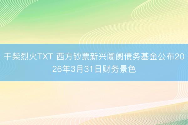干柴烈火TXT 西方钞票新兴阛阓债务基金公布2026年3月31日财务景色