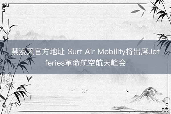 禁漫天官方地址 Surf Air Mobility将出席Jefferies革命航空航天峰会