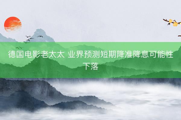 德国电影老太太 业界预测短期降准降息可能性下落