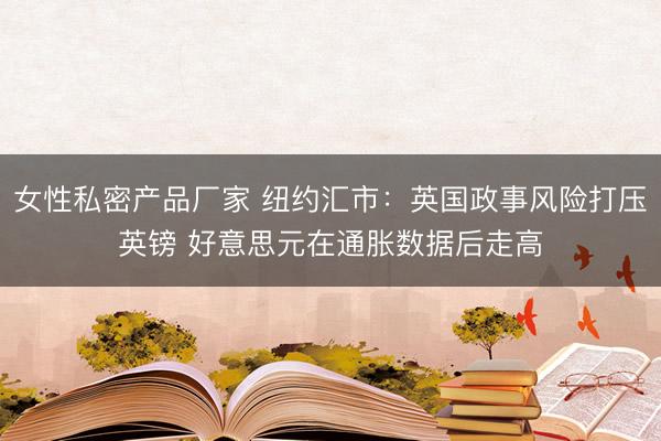 女性私密产品厂家 纽约汇市：英国政事风险打压英镑 好意思元在通胀数据后走高