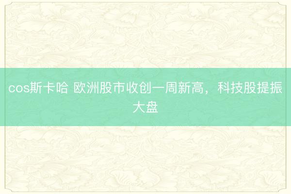 cos斯卡哈 欧洲股市收创一周新高，科技股提振大盘