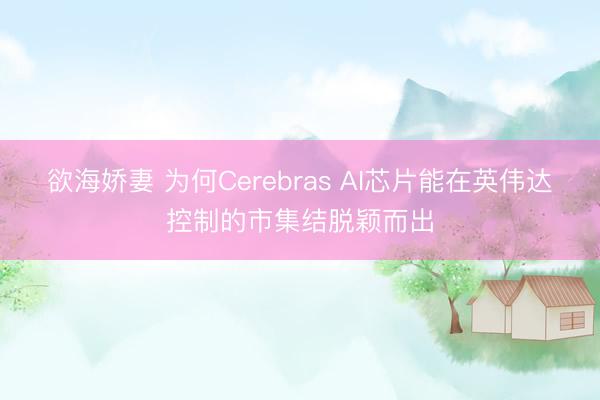 欲海娇妻 为何Cerebras AI芯片能在英伟达控制的市集结脱颖而出