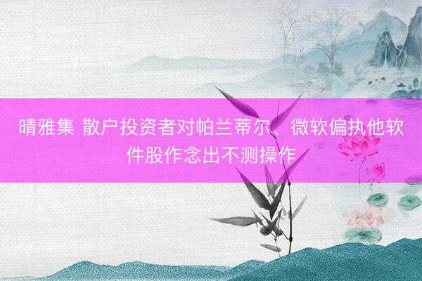 晴雅集 散户投资者对帕兰蒂尔、微软偏执他软件股作念出不测操作