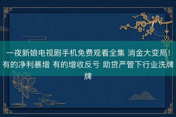 一夜新娘电视剧手机免费观看全集 消金大变局!有的净利暴增 有的增收反亏 助贷严管下行业洗牌