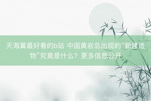 天海翼最好看的b站 中国黄岩岛出现的“新建造物”究竟是什么？更多信息公开