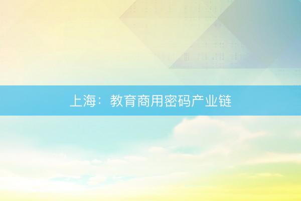 上海：教育商用密码产业链